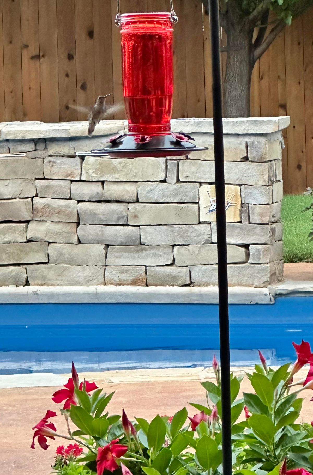 Refuge or Strength – God’s got you&nbsp;Covered